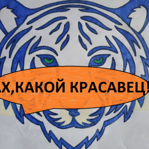 Подушка с символом наступающего года /Вышивка/ (2021г)